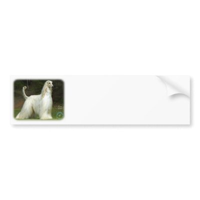 Afghan Hound 9J32D-21 Bumper Sticker by TraffordPhotos