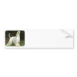 Afghan Hound 9J32D-21 bumper stickers