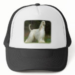 Afghan Hound 9J32D-21 Mesh Hats