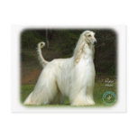 Afghan Hound 9J32D-21 postcards