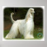 Afghan Hound 9J32D-21 Print