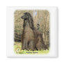 Afghan Hound 9P032D-201 Magnets