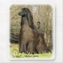Afghan Hound 9P032D-201 Mouse Pads