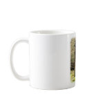 Afghan Hound 9P032D-201 Coffee Mug