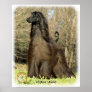 Afghan Hound 9P032D-201 Print