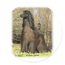 Afghan Hound 9P032D-201 Sticker