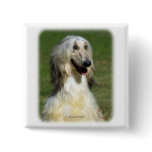 Afghan Hound 9R027D-47 Pinback Buttons