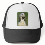 Afghan Hound 9R027D-47 Trucker Hat