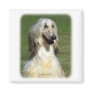 Afghan Hound 9R027D-47 Refrigerator Magnet