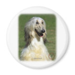 Afghan Hound 9R027D-47 Fridge Magnet