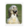 Afghan Hound 9R027D-47 Post Card