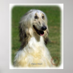 Afghan Hound 9R027D-47 Poster