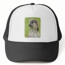 Afghan Hound 9R086D-062 Hat