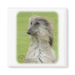Afghan Hound 9R086D-062 Fridge Magnets