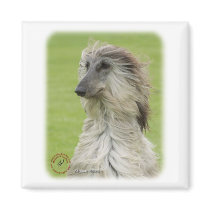 Afghan Hound 9R086D-062 Fridge Magnets