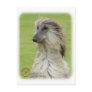 Afghan Hound 9R086D-062 Postcards