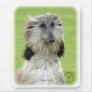 Afghan Hound 9R086D-69 Mouse Pads