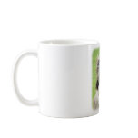 Afghan Hound 9R086D-69 Coffee Mug