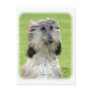 Afghan Hound 9R086D-69 Postcards