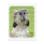 Afghan Hound 9R086D-69 postcards