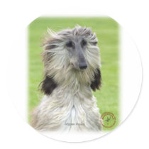 Afghan Hound 9R086D-69 Round Sticker