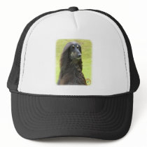 Afghan Hound 9R71D-30 Mesh Hat
