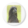 Afghan Hound 9R71D-30 Magnet