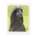 Afghan Hound 9R71D-30 Postcards