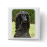 Afghan Hound 9T027D-067 Pinback Buttons
