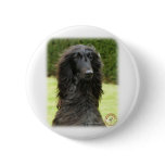 Afghan Hound 9T027D-067 Pinback Button