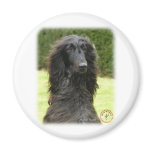 Afghan Hound 9T027D-067 Magnet