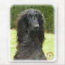 Afghan Hound 9T027D-067 Mouse Pad