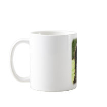 Afghan Hound 9T027D-067 Mug