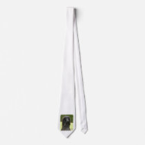 Afghan Hound 9T027D-067 Ties