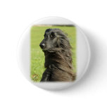 Afghan Hound 9W43D-116 Pin