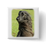 Afghan Hound 9W43D-116 Pinback Buttons