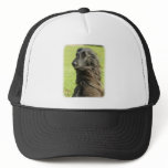 Afghan Hound 9W43D-116 Mesh Hats