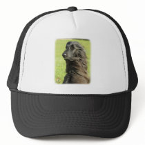Afghan Hound 9W43D-116 Mesh Hats