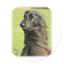 Afghan Hound 9W43D-116 Stickers