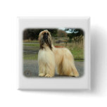 Afghan Hound 9Y119D-037 Pins