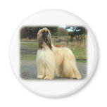 Afghan Hound 9Y119D-037 Fridge Magnet