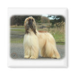 Afghan Hound 9Y119D-037 Refrigerator Magnet