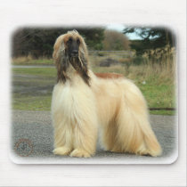Afghan Hound 9Y119D-037 Mousepad