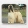 Afghan Hound 9Y119D-037 Mousepad