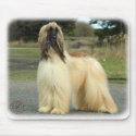Afghan Hound 9Y119D-037 mousepads