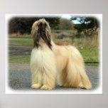 Afghan Hound 9Y119D-037 Print