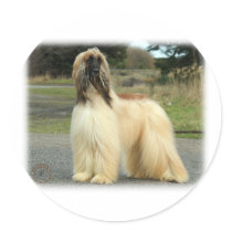 Afghan Hound 9Y119D-037 Round Sticker