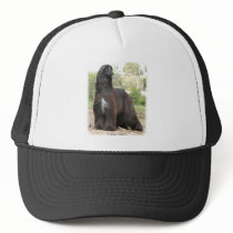 Afghan Hound 9Y151D-112 Trucker Hats