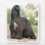 Afghan Hound 9Y151D-112 Mouse Pads