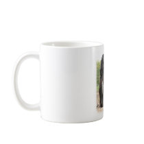 Afghan Hound 9Y151D-112 Mug